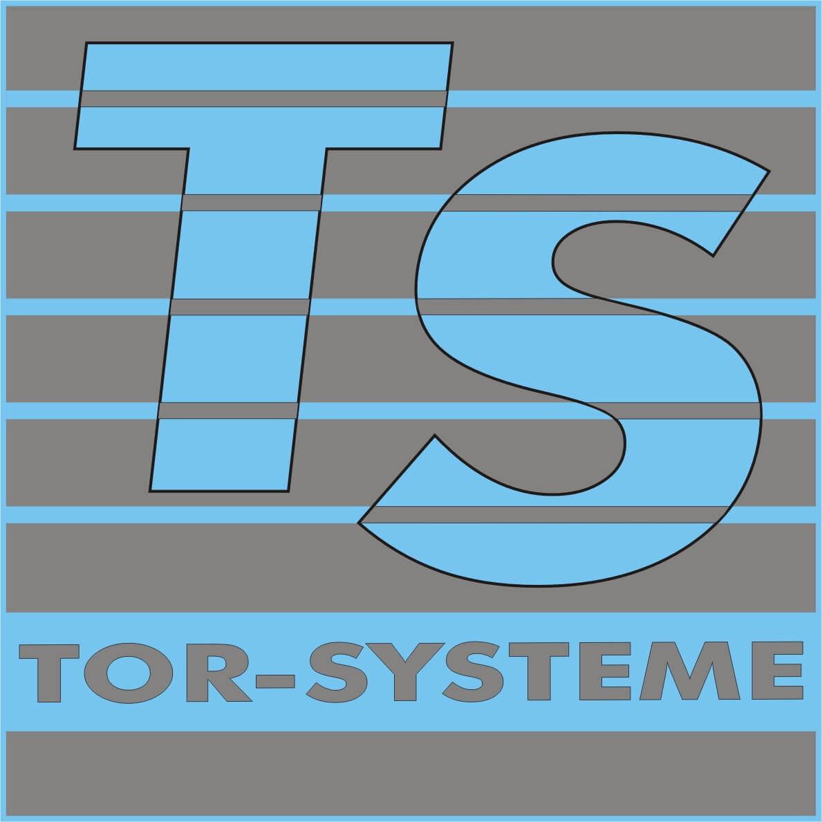 TS Logo